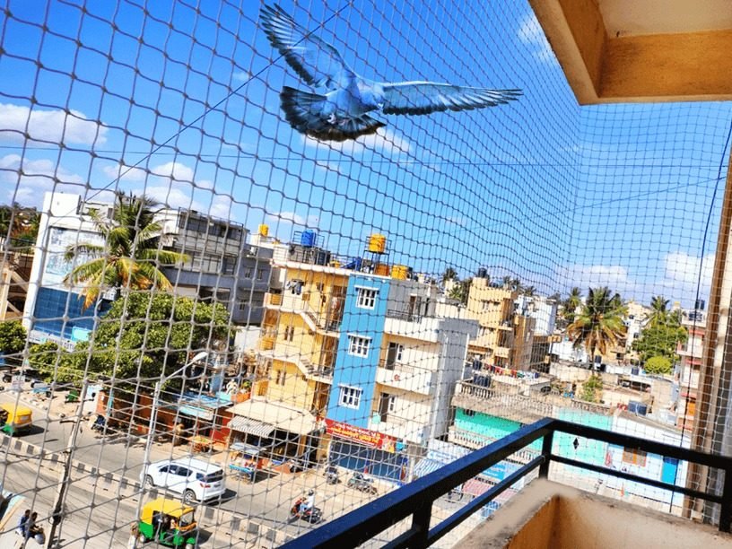 Full Terrace Pigeon Net Coverage — Pigeon Safety Nets project by Jhansi in Kukatpally, Hyderabad